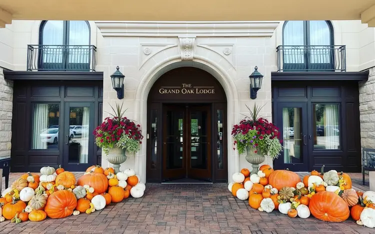 Custom Business - Transform your business with professional autumn displays that attract customers and create memorable seasonal experiences. Perfect for storefronts, office buildings, restaurants, and commercial properties. - Professional pumpkin display package by Mountain Porch Pumpkins serving Utah Idaho Wyoming