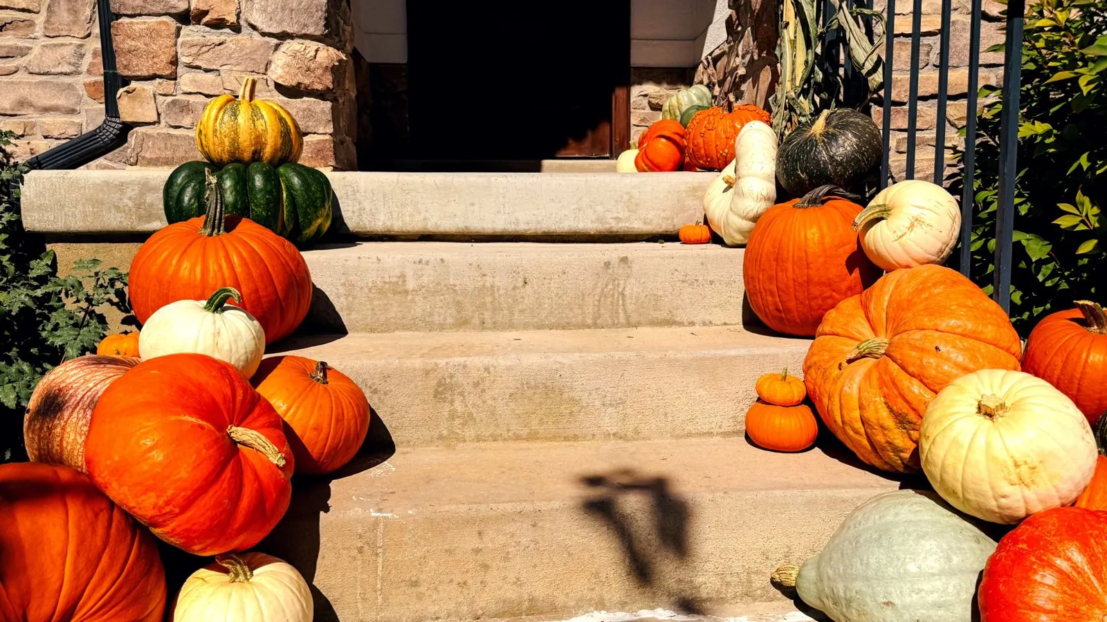 Heirloom pumpkins arranged across a front porch